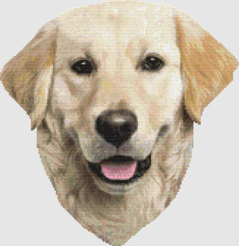 Golden Retriever - Portrait 163w x 168h DogShoppe Designs