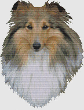 Shetland Sheepdog - Portrait (Sable) 145w x 187h DogShoppe Designs