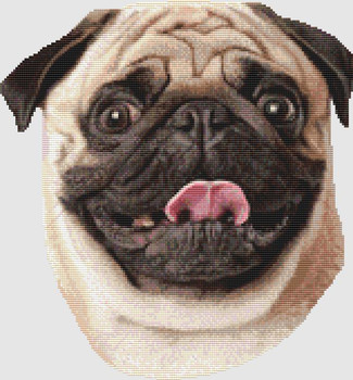 Pug - Smile (Fawn) 158w x 170h DogShoppe Designs