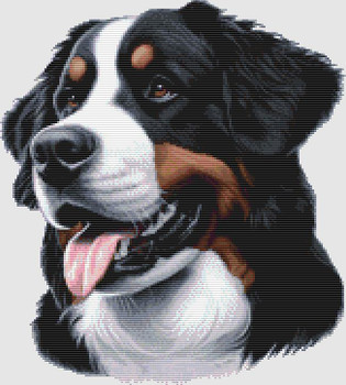 Bernese Mountain Dog - Portrait 163w x 181h only full stitches DogShoppe Designs