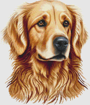 Golden Retriever - Portrait IV 146w x 170h only full stitches DogShoppe Designs