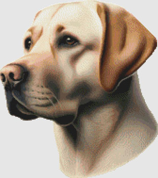 Labrador Retriever - Portrait (Yellow) 168w x 189h uses only full stitches DogShoppe Designs