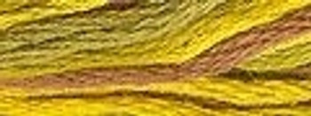 VA12M81 Backyard Honeycomb Cotton Floss 6Ply Skein Valdani