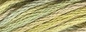 VA12M80 Distant Grass Cotton Floss 6Ply Skein Valdani