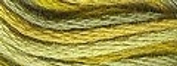 VA12M28 Harvest Cotton Floss 6Ply Skein Valdani