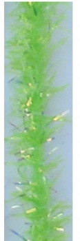 Flourescent Green - 10ES42 Glissen Gloss Estaz