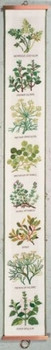 77094574 Eva Rosenstand Kit Herbs Bellpull 6" x 52"; Linen; 26ct