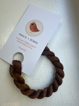 Bronze Pirate And Robin