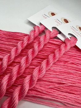 Carnation Pirate And Robin