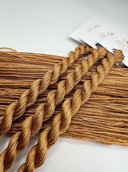 Chestnut  Pirate And Robin