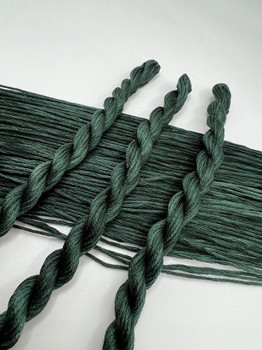 Evergreen Pirate And Robin