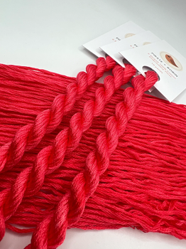 Miami Pirate And Robin