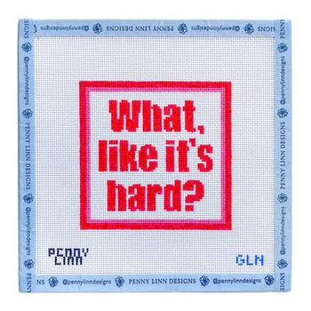 WHAT LIKE IT'S HARD 4" x 4" 18 Mesh GRANDIN LANE NEEDLEPOINT