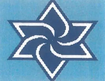 TEFILLIN JT100B Swirl Star 9.5" x 8" 13 Mesh  Two A T Design Judaic Designs by Tonya