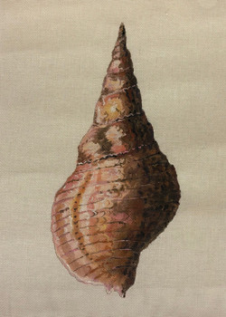 Miscellaneous MC521 Large Seashell 18 Mesh Colors of Praise