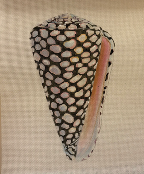 Miscellaneous MC522 Large Seashell 18 Mesh Colors of Praise