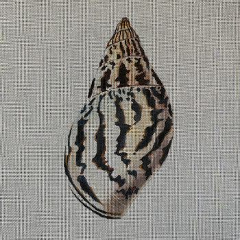 Miscellaneous MC505 Seashell 4.75 x 9 18 Mesh Colors of Praise