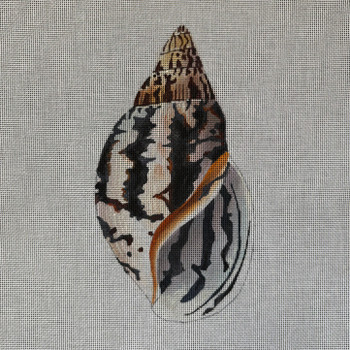 Miscellaneous MC504 Seashell 4.75 x 9 18 Mesh Colors of Praise