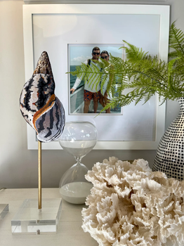 Miscellaneous MC504 Seashell 4.75 x 9 18 Mesh Colors of Praise