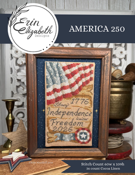 America 250 Erin Elizabeth Designs DD