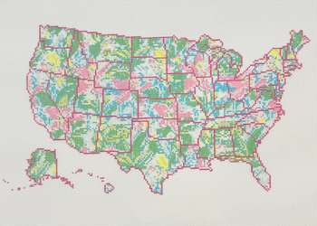 State Palm USA - BW2187NBL Design Size 17" x 10" on 13 Mesh Needlepoint by Laura