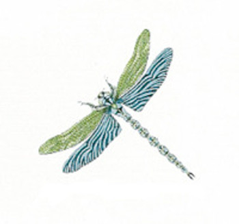 P132A Small Dragonfly 15 x 15 13 Mesh Trubey Designs