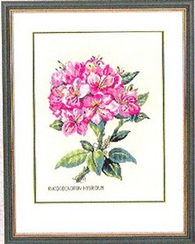 7712895 Eva Rosenstand Kit Pink Rhododendron 14" x 18"; Linen; 25ct