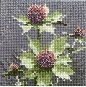 HCK498A Heritage Crafts Kit Mini Sea Holly by John Clayton 4.25" x 4.25" ; Aida; 14ct