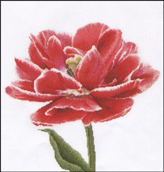 GOK520 Thea Gouverneur Kit Red/White Edged Early Double Tulip 13" x 14"; Linen; 30ct