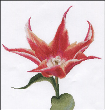 GOK524 Thea Gouverneur Kit Red/Orange Lily Flowering Tulip 13" x 14"; Linen; 30ct