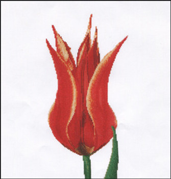 GOK515 Thea Gouverneur Kit Red/Yellow Lily Flowering Tulip 13" x 14"; Linen; 30ct