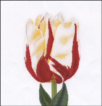 GOK516A Thea Gouverneur Kit Flamed Tulip 13" x 14"; Aida; 16ct