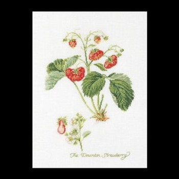GOK2085 Thea Gouverneur Kit Strawberry 10" x 14"; Linen; 36ct