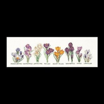 GOK3074 Thea Gouverneur Kit Crocus 19" x 6" ; Linen; 36ct