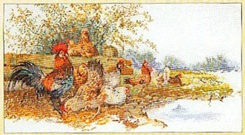 GOK2038A Thea Gouverneur Kit Chickens In A Field