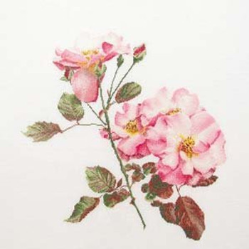 GOK412 Thea Gouverneur Kit Pink Roses 17" x 17"; Linen ; 36ct