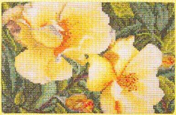 GOK428A Thea Gouverneur Kit Rose Hugonis 7" x 5"; Aida; 18ct