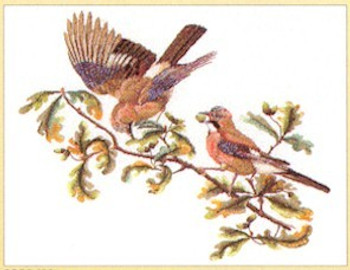 GOK2022 Thea Gouverneur Kit Birds On Branch 22" x 20"; Linen; 36ct