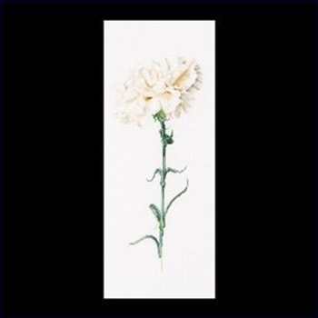 GOK466 Thea Gouverneur Kit Carnation White 7" x 17" Linen 36ct