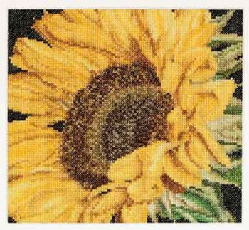 GOK488A Thea Gouverneur Kit Sunflower 6" x 6"  Aida 18ct