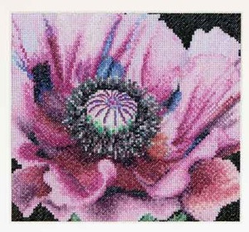 GOK491A Thea Gouverneur Kit Poppy 6" x 6"  Aida 18ct