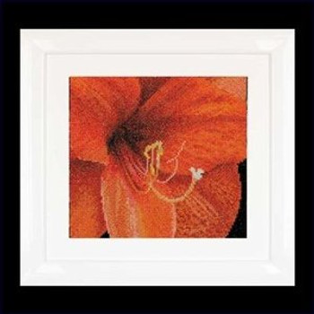 GOK496A Thea Gouverneur Kit Amaryllis 6" x 6" ; Aida; 18ct