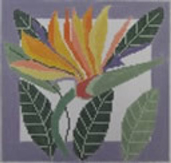 661F Bird of Paradise 6 x 6 18 Mesh NEEDLEDEEVA