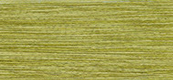Weeks Dye Works 2-Strand Floss 1193	 Guacamole