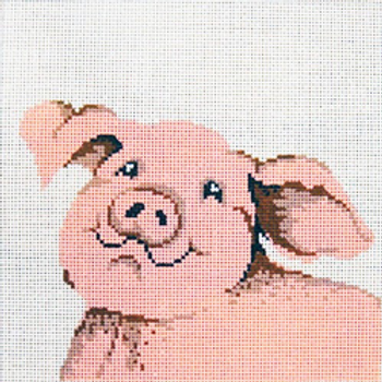 5011 JUV cute pig 8 x8 13 Mesh Patti Mann 