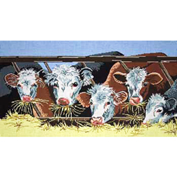 5901 MAL white faced cows eating 10 x 18  18 Mesh Patti Mann 