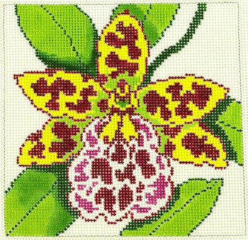 AO1286SKU Lee's Needle Arts WILDCAT ORCHID 7X7 12M