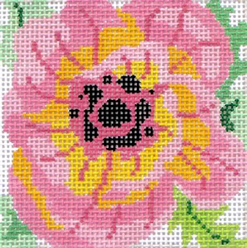 132a3 Jean Smith Designs ANEMONE COASTER 3  4" sq., 13 mesh