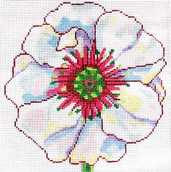 139b26 Jean Smith Designs SIMPLY FLOWER White Poppy 8" sq., 13 mesh