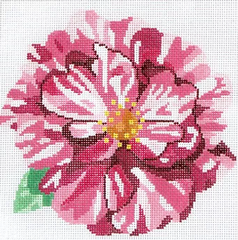 139b16 Jean Smith Designs SIMPLY FLOWER Candy Cane Rose 8" sq., 13 mesh